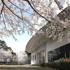 福井市自然史博物館