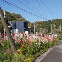 行川アイランド駅
