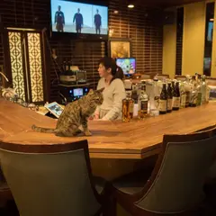 猫カフェ・ゲームバー TAMANE