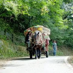 昇仙峡馬車組合事務所