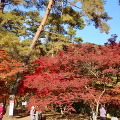 月の石もみじ公園