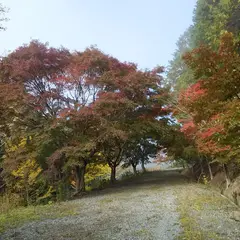 高梁自然公園
