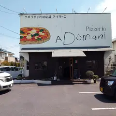ナポリピッツァのお店 ア・ドマーニ