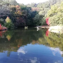 桂坂野鳥遊園