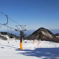 大山国際スキー場