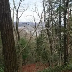 柴田の付城跡