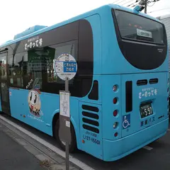どまんなかたぬま