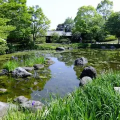 国営昭和記念公園日本庭園