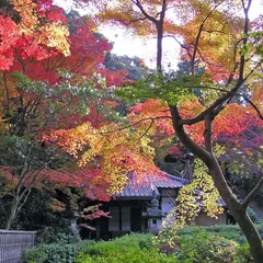 明応山 来迎院