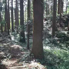 槻橋城跡
