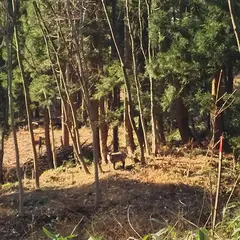 鷹巣城跡
