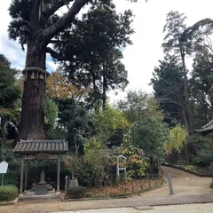 妙照寺