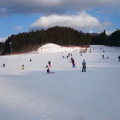 太平山スキー場オーパス