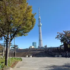 隅田公園 紫陽花ロード