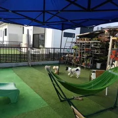 Paws Cafe coffee&dogran