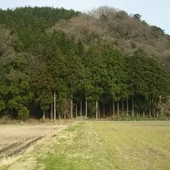 柏野城跡