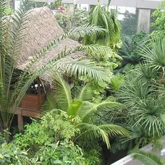 板橋区立 熱帯環境植物館（ねったいかん）