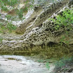 保呂の虫食い岩
