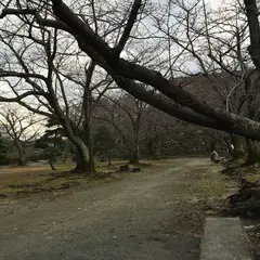 福岡城 本丸御殿跡