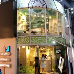 うさぎカフェ うさぎパラダイス