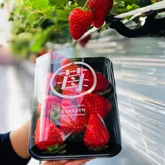 strawberry farm BUNKAEN