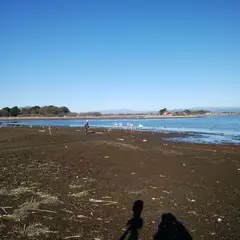 群馬県立多々良沼公園