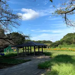花島公園お花見広場