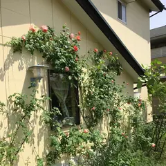デイジーカフェ