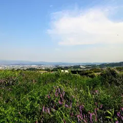 しあわせの森公園