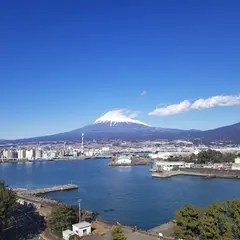 富士山ドラゴンタワー