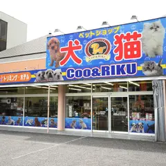 ペットショップCoo&RIKU 川口戸塚店