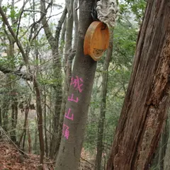 長藪城跡