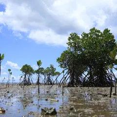 名蔵湾の東小屋パーキング