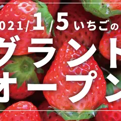 観光農園 花祭いちごの谷