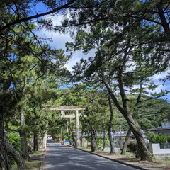 吉備津の松並木