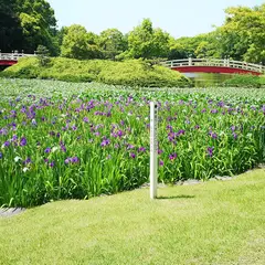 上野台公園