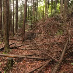 大和上狭川城跡