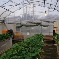 ケロケロ農園