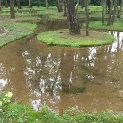 水庭 Water Garden - Art Biotop