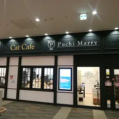 猫カフェ Puchi Marry ラソラ札幌店
