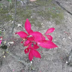 あがたの森公園 芝生広場