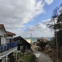 魚春