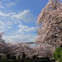 玉川学園