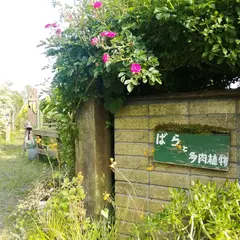 松井田多肉植物園