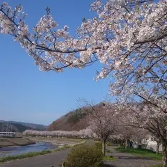 長沢川桜づつみ公園