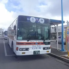 カリー観光 石垣空港直行バス乗り場