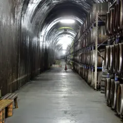 トンネルの駅 神楽酒造