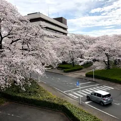 桐生市役所