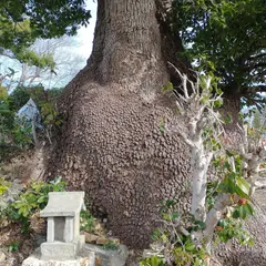 鵺代居館跡