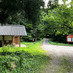 奥村杉キャンプ場